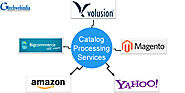 Outsourcing Catalog Management Services is Cost Savings