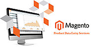 What you Expect from a Magento Product Data Entry Service Provider?