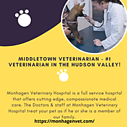 Animal Hospital Middletown