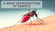 A Brief Introduction Of Dengue