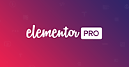 Elementor Pro - The Most Advanced WordPress Page Builder Plugin