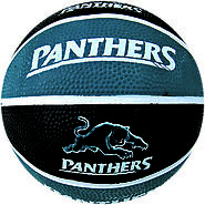 Panthers NRL Supporter Basketball - Western Sydney Suburb of Penrith