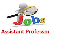 Assistant Professor Jobs Opening in Noida | MonsterIndia.com