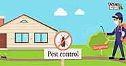 Pest Control in Jonesboro