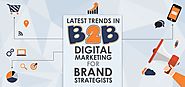 Latest Trends in B2B Digital Marketing for Brand Strategists | Branex - International