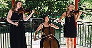 Wedding Musicians from Wollongong is Suitable for your Wedding