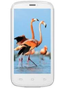 Celkon A119 Signature HD Smartphone Review