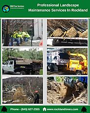 Professional Landscape Maintenance Services In Rockland