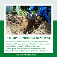 STUMP GRINDING & REMOVAL - Tree Services Rockland County