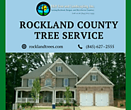 Rockland County Tree Service by Experts