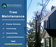 Residential Tree Maintenance & Care Services