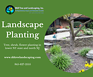Landscape Planting : NY & NJ Tree Services