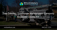 Tree Cutting Services | Landscape Maintenance Company