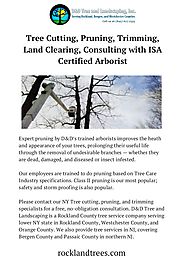 Affordable Tree Cutting, Prunning & Trimming Services