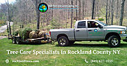 Tree Care Specialists in Rockland County NY