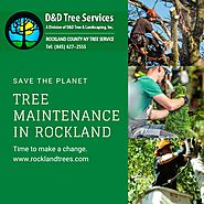Landscape &Tree Maintenance In Rockland NY