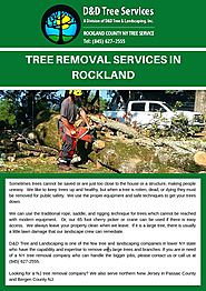 Tree Removal Services In Rockland by Calvin - Issuu