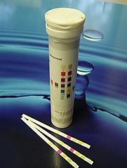 Urine Adulterant Detection Strips for validity check urine specimen 1.19ea.