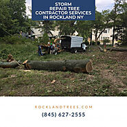Storm Repair Tree Contractor Services in Rockland NY