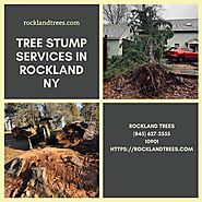 Tree Stump Services in Rockland NY