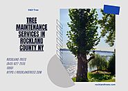 Tree Maintenance Services in Rockland County NY