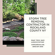 Storm Tree Removal Contractor in Rockland County NY