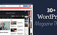 Professional WordPress Magazine Themes