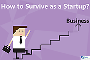 How to Survive as a Startup?