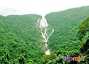 Dudhsagar Waterfalls in Goa - a trip to majestic falls of India