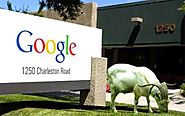 As part of their green initiative, Google regularly rents goats to mow the lawns of their mountain view HQ