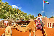 Book Adventurous Desert Safari Tour in Liwa