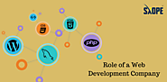 Role of a Web Development Company for your Startup Business