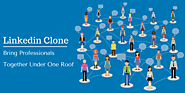 Are You Looking Forward to Getting Your Own Professional Networking Website? - Innovative Website Clone Scripts