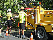 Land Clearing And Tree Services In Darwin