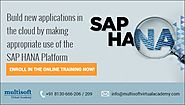 A Brief Introduction to the SAP HANA Online Training