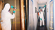 Stay Safe & Healthy Through Professional Mold Remediation