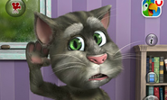 Download Talking Tom Cat for PC, Computer, Mac (Windows XP/7/8)