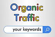 SEO techniques to get better Organic Traffic