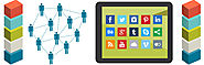 Social Media Marketing Expert - Frisbee Studio