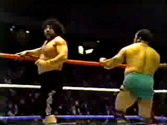 Masa Saito as Mr. Saito from the WWF (1981-1982)