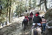 Best Shimla Tour Packages | Shimla Holiday Packages