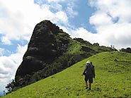 TOP TREKKING TRAILS IN KERALA FOR THE ADVENTUROUS YOU
