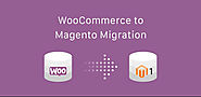 WordPress to Magento Migration - Guide For Magento Developers