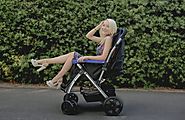Find Safe Dog Strollers for Small Dogs – Pet Rover