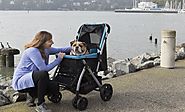 Walk-time needs you to pack you canine warmly in large strollers for dogs – Pet Rover