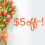 Flower Delivery & Florist - Send Flowers - BloomThat