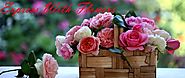 Flowers to India | Send Gifts to India | Cake Delivery to India | IFM