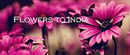 Send Flowers to India, New Year Flowers Delivery in India - BloomNBud