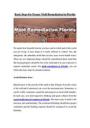 Basic Steps for Proper Mold Remediation In Florida