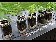 Grow Your Own Fruit & Vegetables